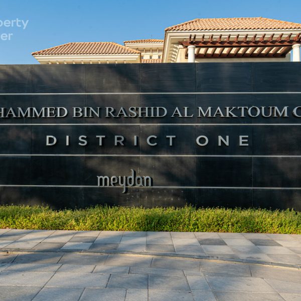 watermark (1)